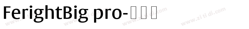 FerightBig pro字体转换